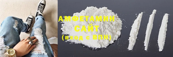 стаф Алзамай