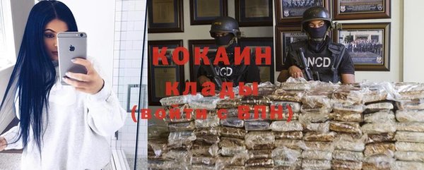 стаф Алзамай