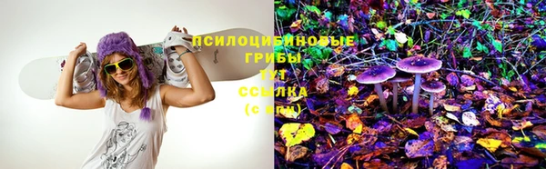 гашик Абдулино