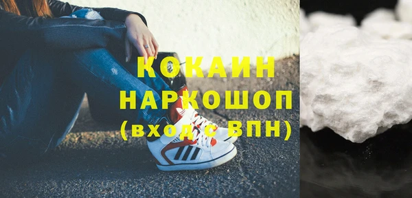 стаф Алзамай