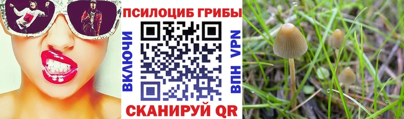 Галлюциногенные грибы MAGIC MUSHROOMS  даркнет официальный сайт  Сорочинск 