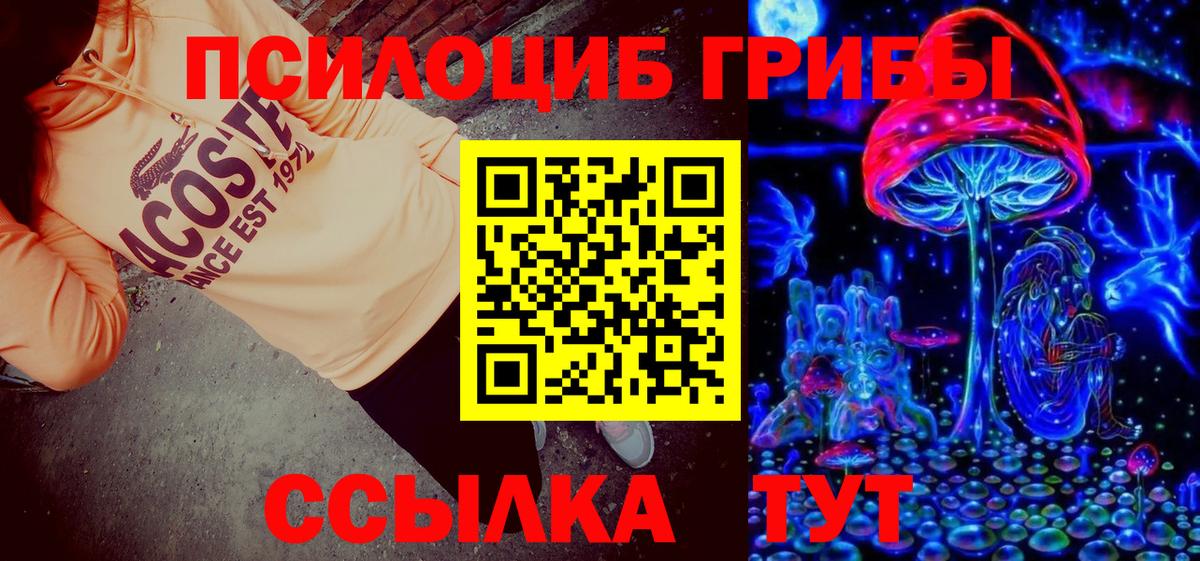 Псилоцибиновые грибы Psilocybe  Псилоцибиновые грибы мухоморы  Сорочинск  Вход с VPN 